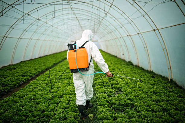 Best Pest Prevention Services  in Sylvania, AL