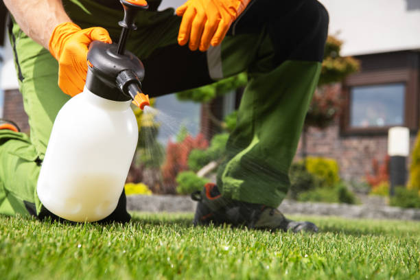 Best Pest Control Near Me  in Sylvania, AL