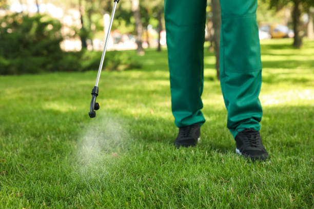 Best Pest Control for Homes  in Sylvania, AL