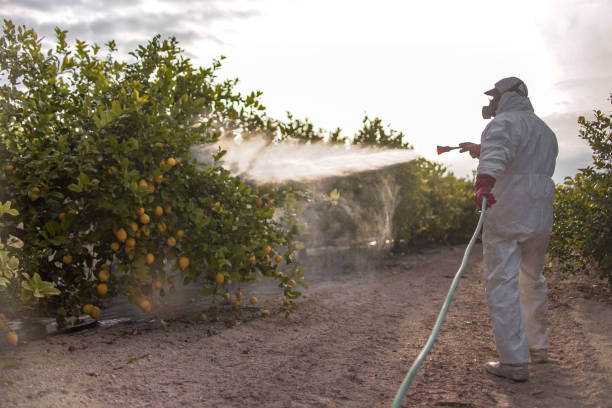 Professional Pest Control in Sylvania, AL