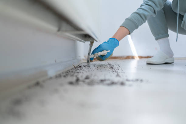 Best Exterminator Services  in Sylvania, AL